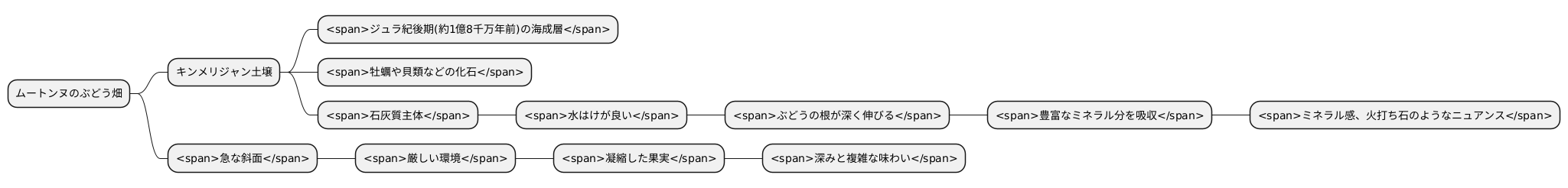 ムートンヌの土壌