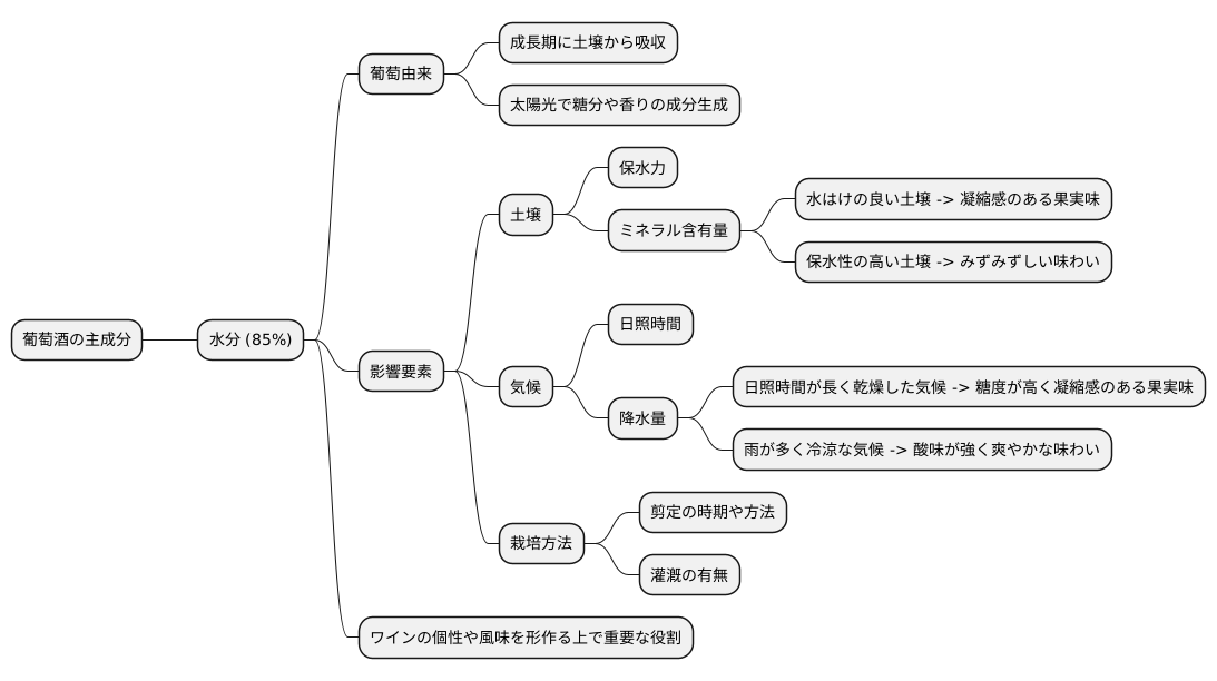 水分の起源
