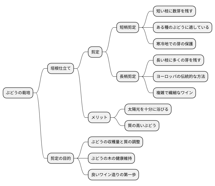 垣根仕立てと剪定