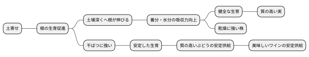 根の生育を促す