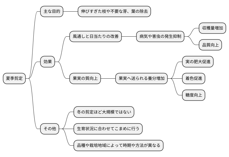 夏季剪定について