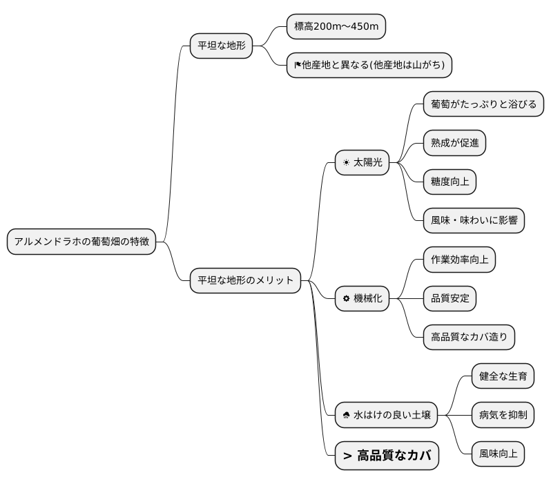 平野のブドウ畑