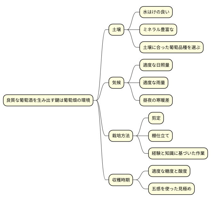 ぶどう畑と品質