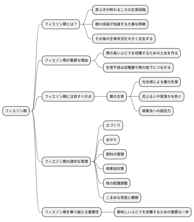 フィエゾン後の生育への影響