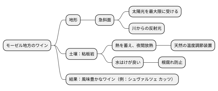 産地の特徴
