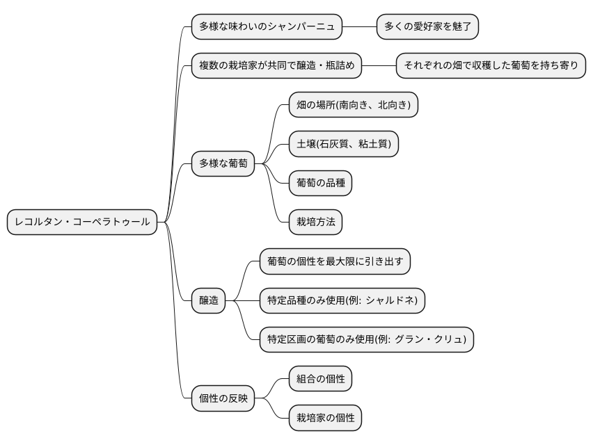 個性豊かなシャンパーニュ