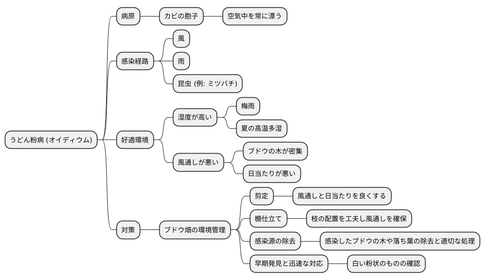 オイディウムの蔓延