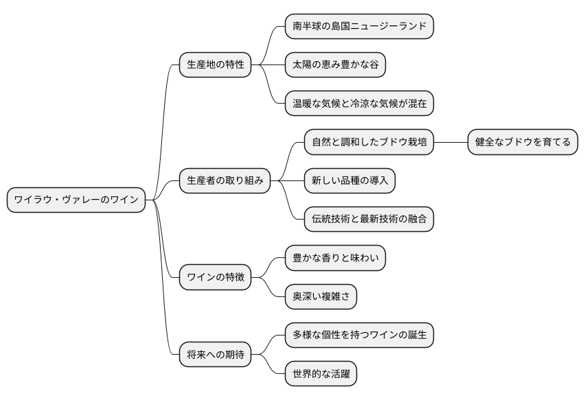 これからの展望