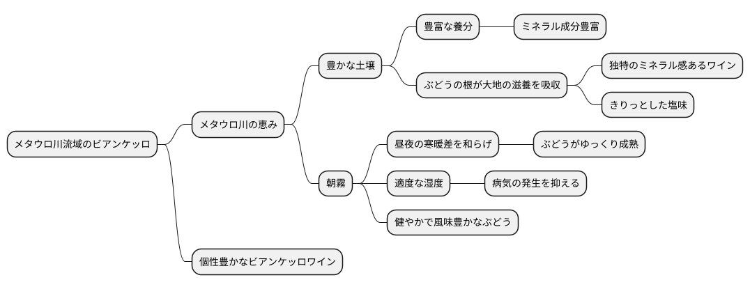 メタウロ川の恵み