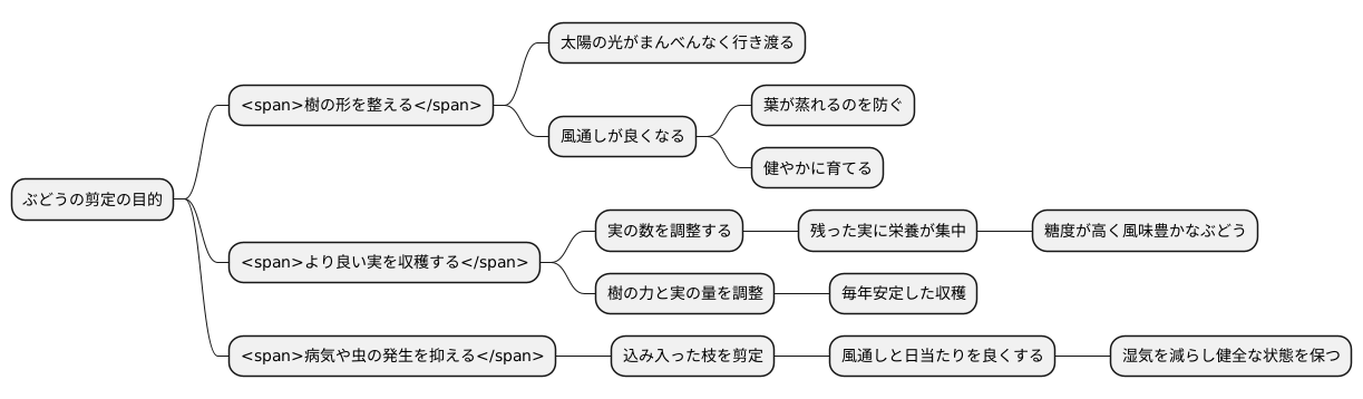 剪定の目的