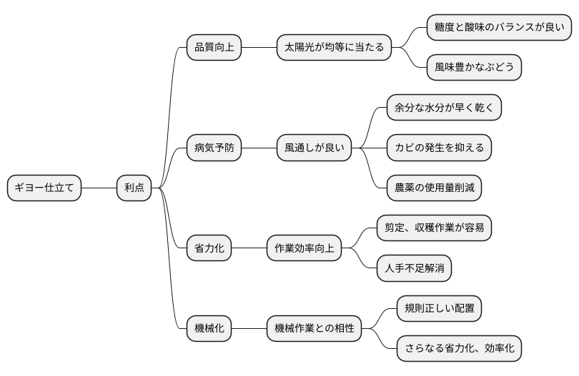 仕立て方の利点