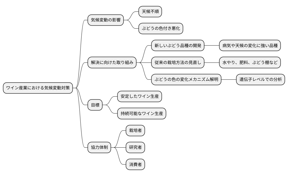 将来への展望