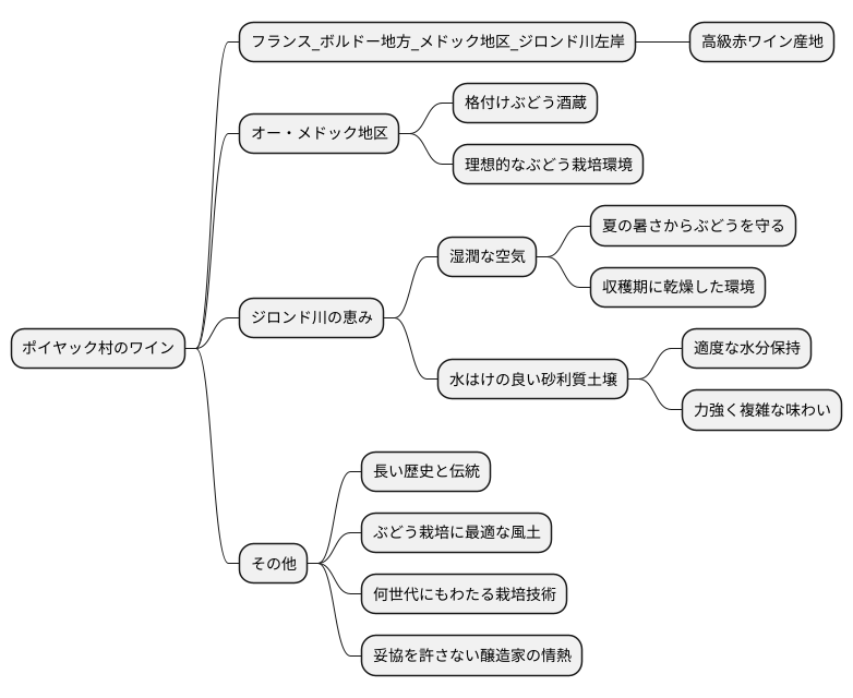 ボルドーの宝石、ポイヤックの場所