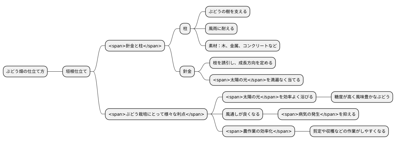 ぶどうの樹と針金と柱