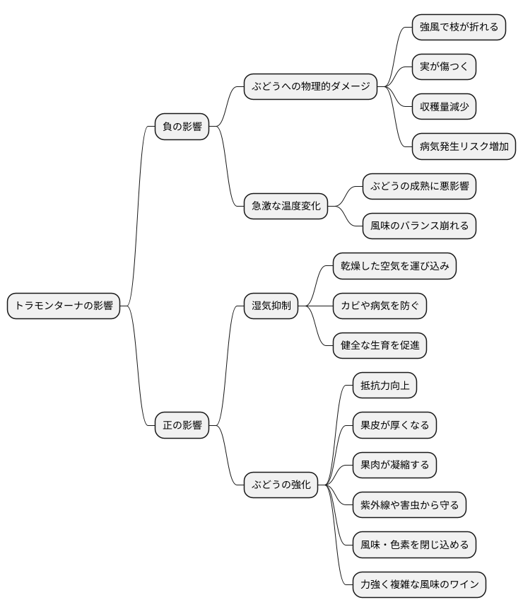 風の影響とぶどう