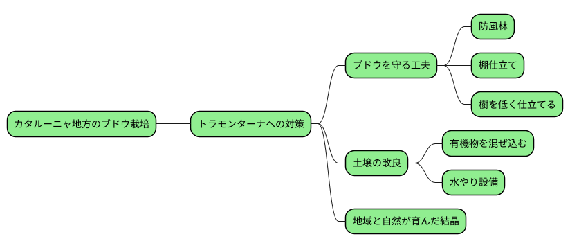 ぶどう畑での工夫