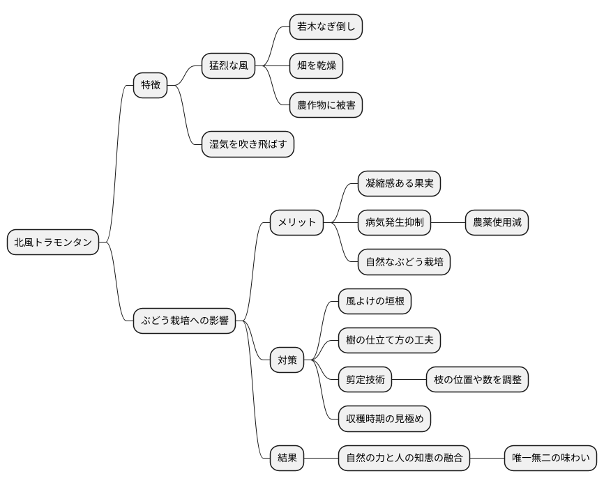 自然の力と人の知恵