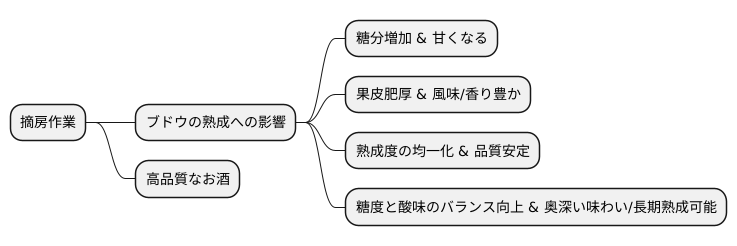 熟成への影響