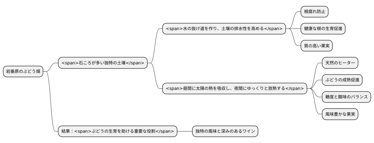土壌の特徴：岩と水はけ